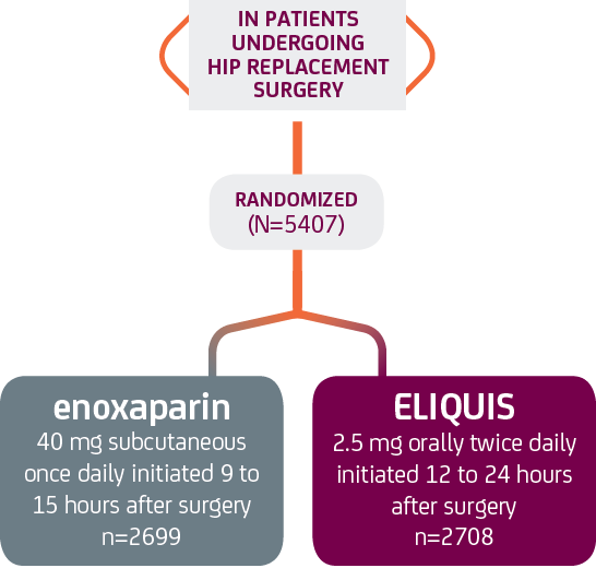 ELIQUIS apixaban vs Enoxaparin Hip Replacement ADVANCE-3 Study Arms Graph