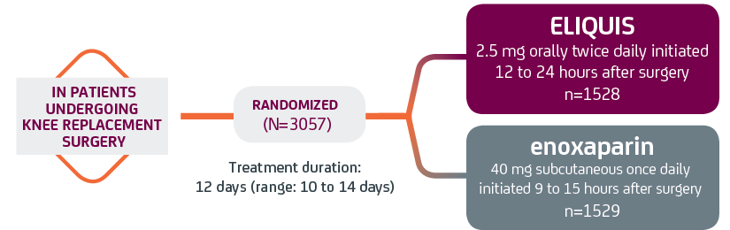 ELIQUIS® (apixaban) vs. enoxaparin Knee Replacement Advance-2 study arms graph
